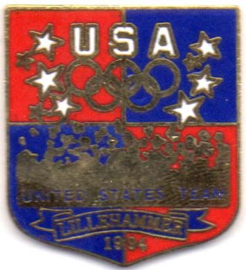 USA shield pin