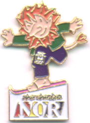 Sparebanken Nor Sondre på ski Paralympics 1994